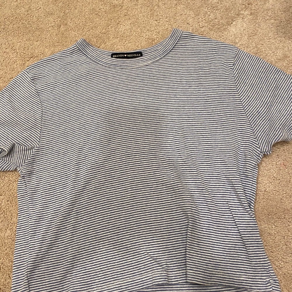 Striped Brandy Melville Crop Top